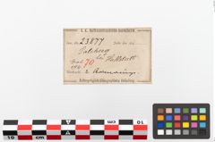 Etiketten zu Armreif (NHMW-PRAE-023877)